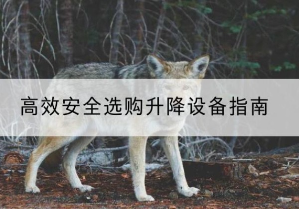 河曲升降货梯厂家推荐-*安全选购升降设备指南