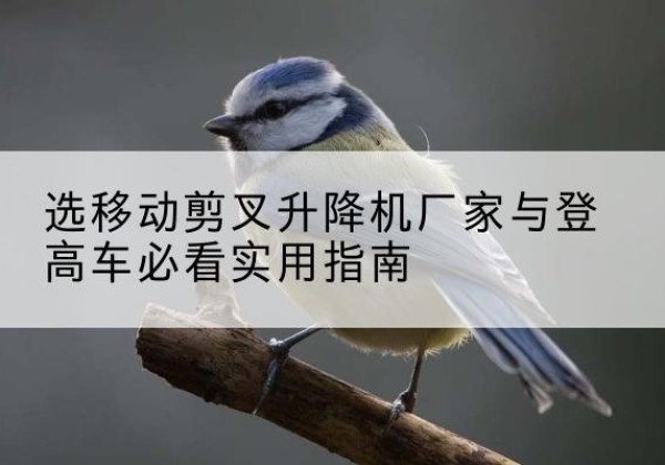 河曲电动升降机厂家-选移动剪叉升降机厂家与登高车必看实用指南